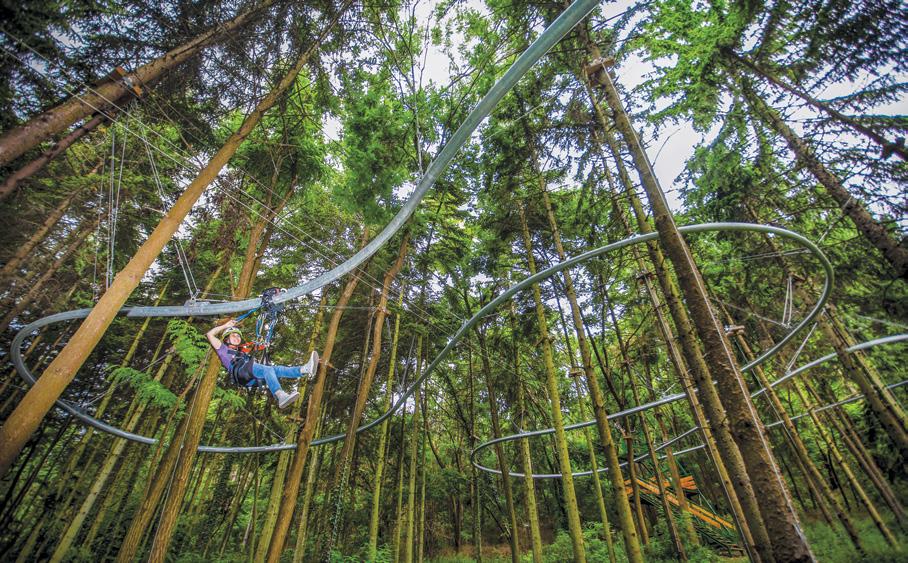 This adventure aerial ride can be suspended or self-standing, and designed to be as cruisy or adventurous as the client would like, with speeds of up to