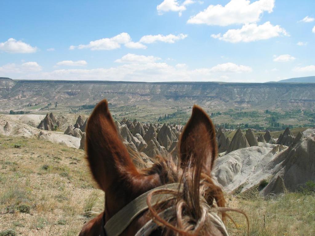 [12] Single travellers - On the Cappadocia Adventure, Camping & Guesthouse Rides single rooms / tents can be booked (subject to availability) on paying the supplement, although solo travellers need