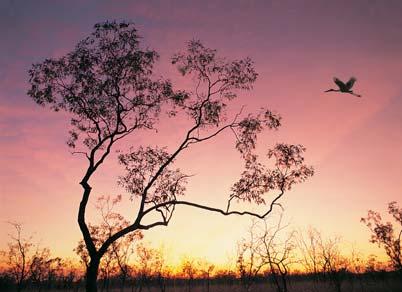 Lake Argyle Mataranka sunset and flying Jabiru ACCOMMODATION We have chosen a great mix of accommodation styles which make the most of what each region has to offer - from 3.