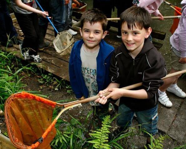 Our activities Land Ecology explore our wet-woodland,