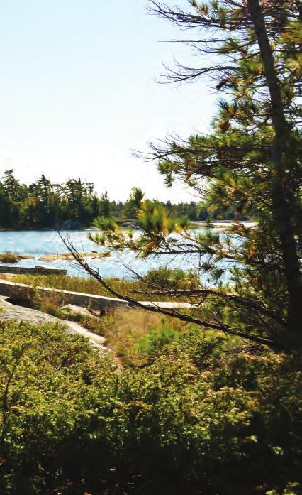 As a boy, Rob Brown spent summers exploring the rock cuts, bays and pine forests of Franklin Island in Georgian Bay. At the time, he never knew that he would one day own the nearby Isle of Pines.