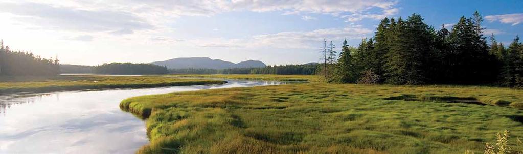 The Organization to Make It Happen Since 1970, Maine Coast Heritage Trust has helped protect more than 150,000 acres of land, created 130 public preserves with 82 miles of trails, and become a leader