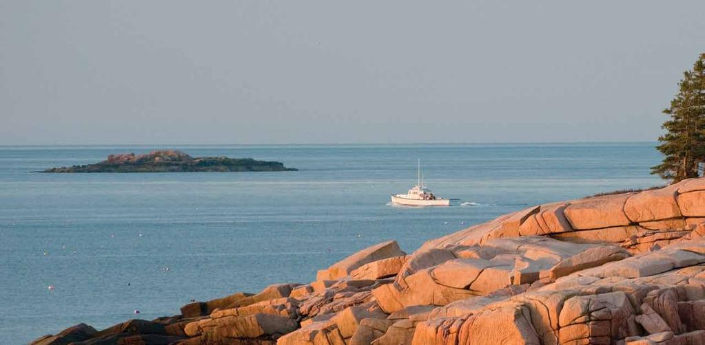 If you love the Maine coast and want to keep it open, healthy, working, and beautiful far into the future, make your gift to Maine Coast Heritage Trust today.
