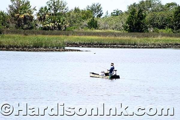 Hot treasure hunt uncovers fiddler crabs strolling A fisherman in a small boat is seen in action Friday afternoon (July