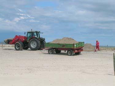 When removing a dune section the sand was pushed back to the beach and distributed there to increase the sand quality of the beach.