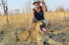 DAY 3: Do an early morning lion encounter and enjoy a full English breakfast on this safari.