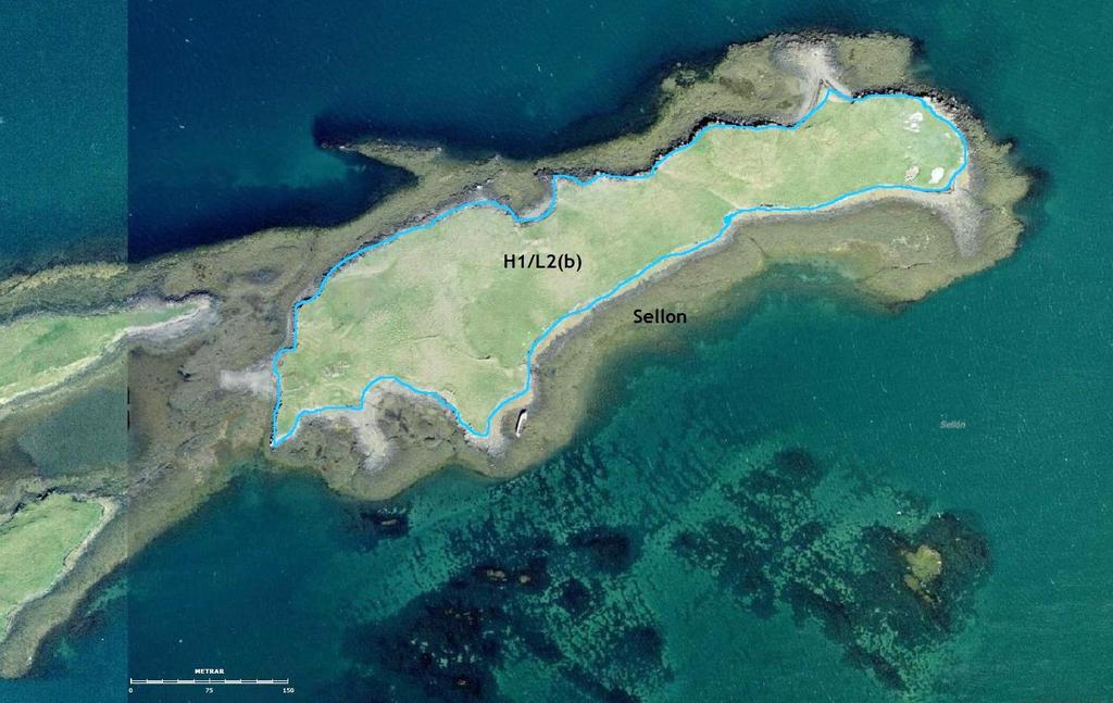3.2 Sellón GPS coordinate: 65 03 32.6 N 22 47 44.1 W Size of island: 8.1 ha Date: 12.06.14 Mappers: THC, ÁÁ Grazing intensity: Low.