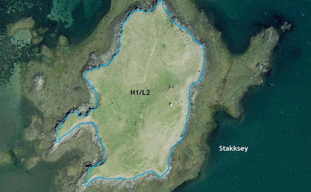 3.6 Stakksey GPS coordinate: 65 04 54.2 N 22 44 02.0 W Size of island: 2,5 ha Date: 13.06.14 Mappers: THC, ÁÁ Grazing intensity: Low medium.