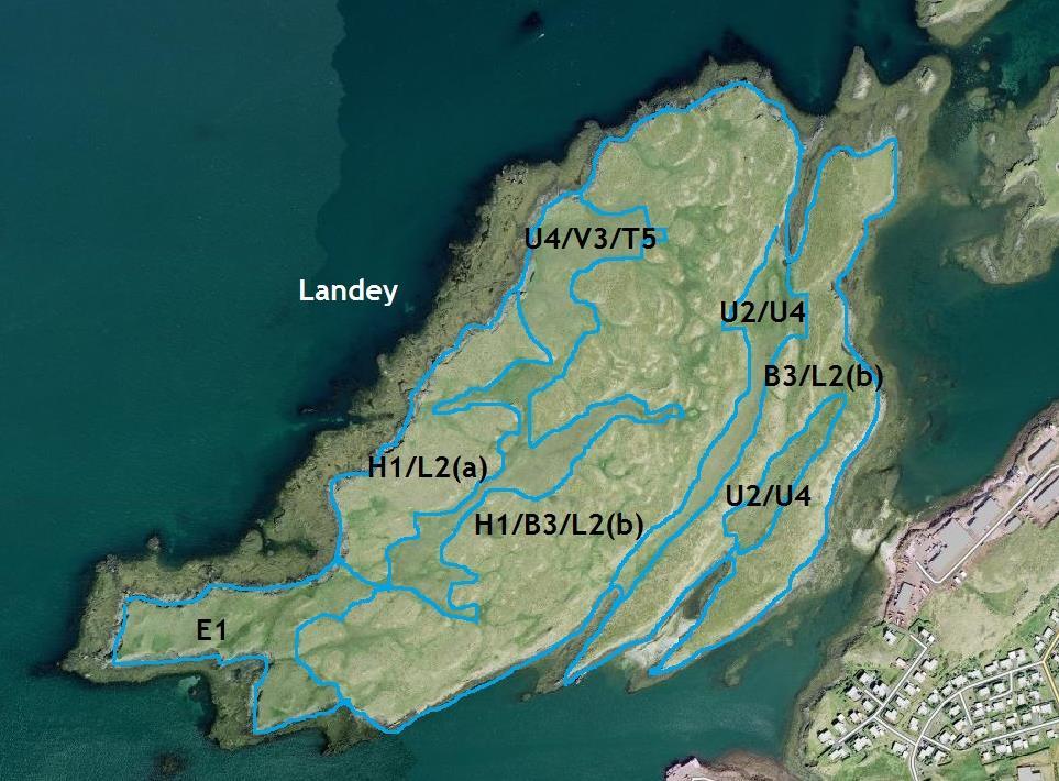 Landey is the island with the highest number of plant species (100) and with the highest number of special findings like Menyanthes trifoliata (is: horblaðka), Koenegia islandica (is: naflagras),