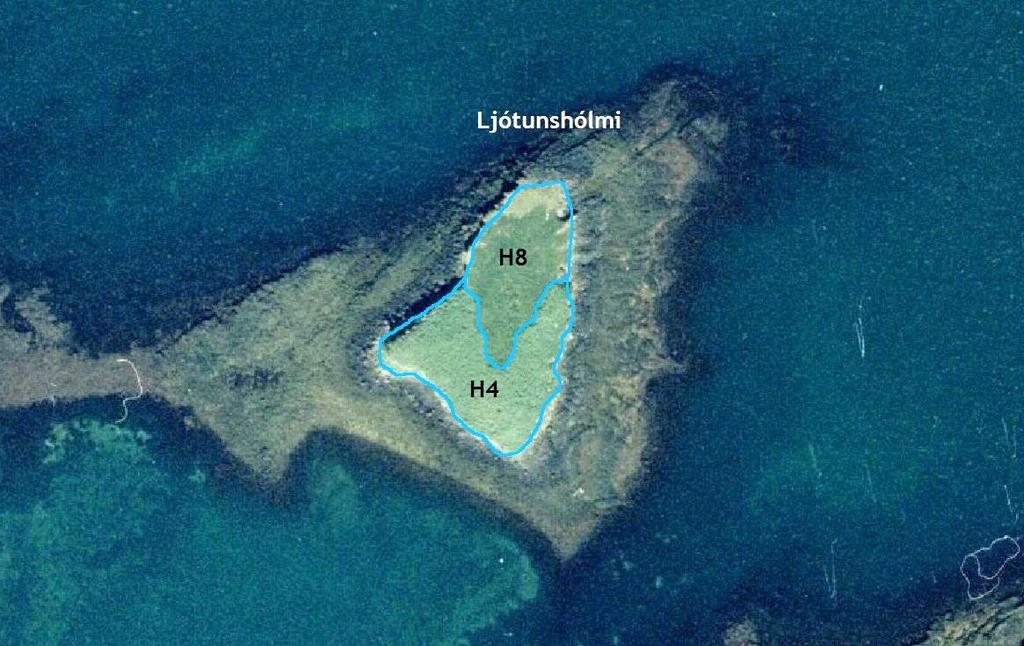 3.8 Ljótunshólmi GPS coordinate: 65 04 23.6 N 22 48 32.5 W Size of island: 0.5 ha Date: 16.06.14 Mappers: THC, ÁÁ Grazing intensity: No grazing Overgrowing index: Medium - high.