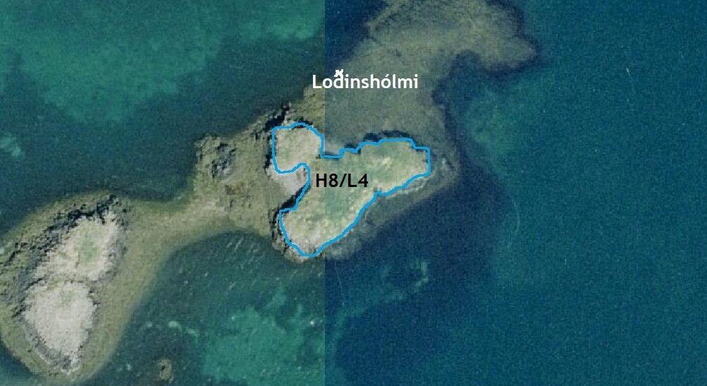 3.9 Loðinshólmi GPS coordinate: 65 04 08.8 N 22 49 40.0 W Size of island 0.26 ha Date: 16.06.
