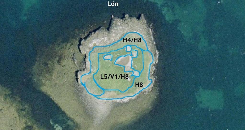 3.11 Lónið GPS coordinate: 65 04 47.0 N 22 50 05.8 W Size of island: 1.5 ha Date: 16.06.