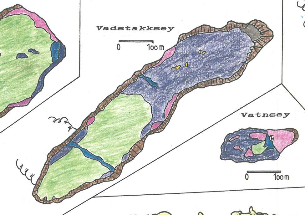 Figure 47. Vegetation map of Vaðstakksey in 1989 (Mörsdorf 1989).