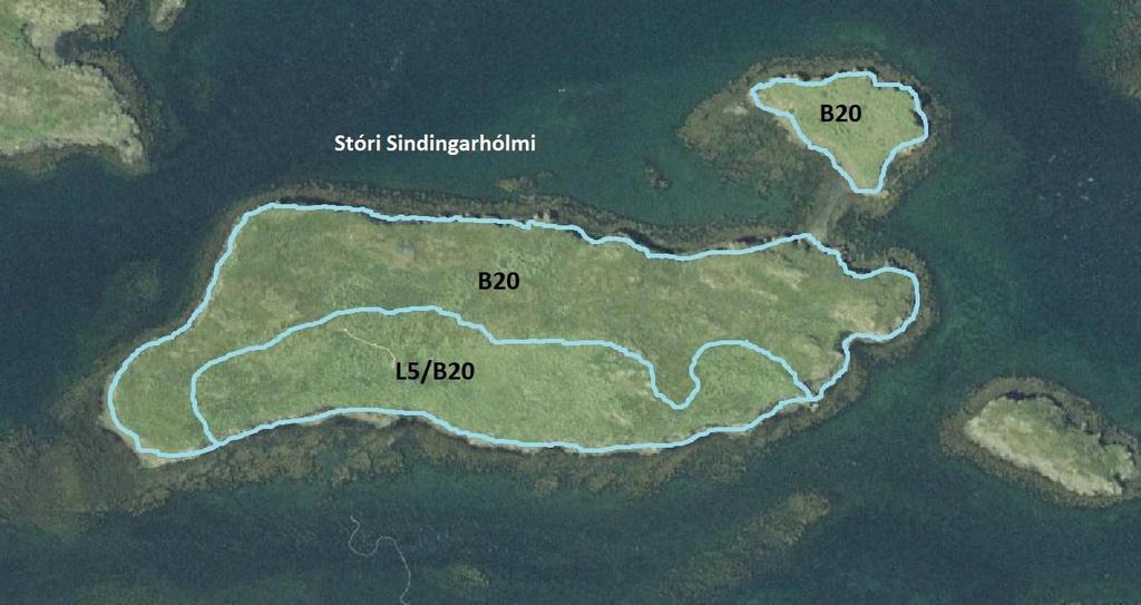 3.20 Stóri Sindingahólmi GPS coordinate: 65 04 16.1 N 22 29 38.3 W Size of island: 2.7 ha Date: 28.08.14 Mappers: THC, ÁÁ Grazing intensity: No grazing or low intensity Overgrowing index: Medium.