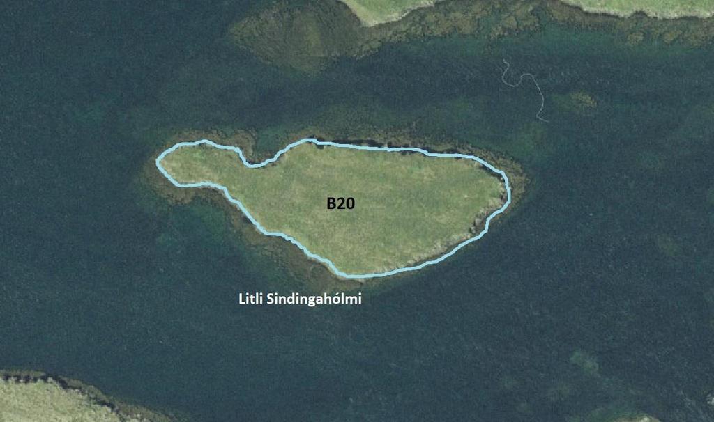 3.21 Litli Sindingahólmi GPS coordinate: 65 04 10.7 N 22 29 48.3 W Size of island: 1.1 ha Date: 28.08.