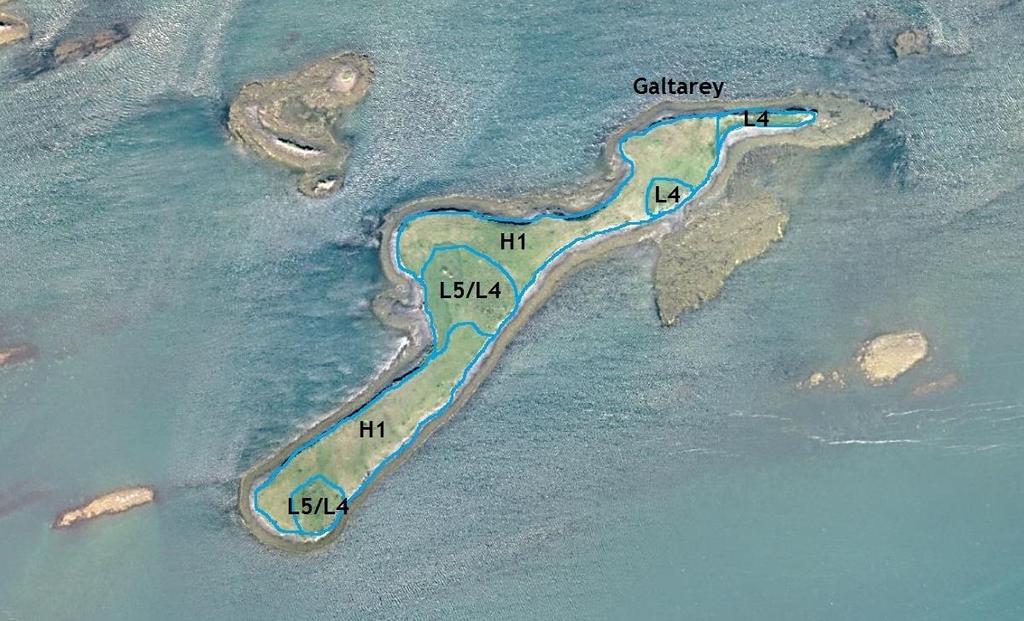 3.22 Galtarey GPS coordinate: 65 02 39.4 N 22 36 33.8 W Size of island: 8.3 ha Date: 28.08.