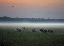 Bamurru Plains Bamurru Plains on the Mary River floodplains is Australia's answer to the Okavango Delta.