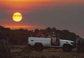 Bamurru Plains lodge and 300km 2 of surrounding country are exclusively for in-house guests, assuring a quiet, privileged outback experience.