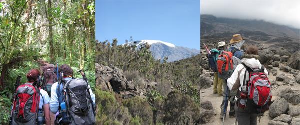 B. Kilimanjaro Marathon and Machame Route 10 days Itinerary: Day 1-3 Per Kilimanjaro Marathon only package Machame Gate (1,490 m/4,890 ft) - Machame Camp (2,980 m/9,780 ft) FB Walking distance: 18