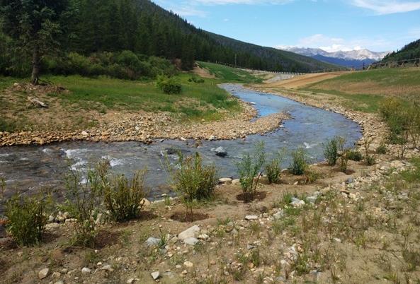 River Restoration Swan River Restoration During 2017, the