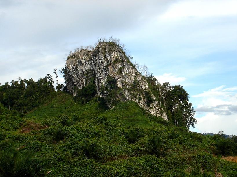 For example, in Peninsular Malaysia almost 14% of the seed plant flora grows on limestone that covers only 0.