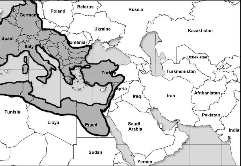 Spoj Vavilonskog, Mido-Persijskog i Grčkog carstva Rimsko carstv o: ne