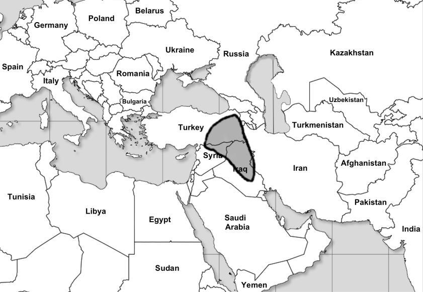 Asirsko carstv o (oko 950.pr.Hr. u v reme v ladav ine cara Dav ida) 235 ISMAILOVCI Pored Asirije, još jedno veoma važno ime je uvršteno među neprijatelje Izraela: Ismailovci.