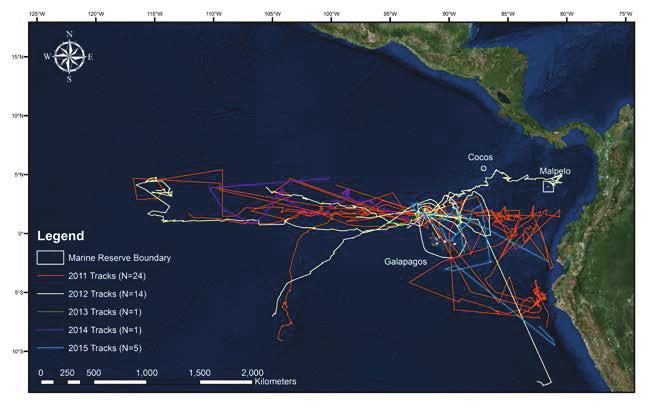 5 PART 5 Tracking iconic migratory species among UNESCO World Heritage sites in the Eastern Tropical Pacific protected zones, and sadly in some instances even within the boundaries 5, in the form of