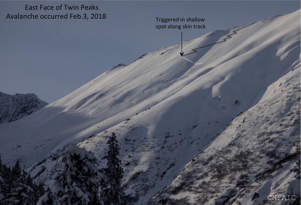 Photo of avalanche taken on Feb.