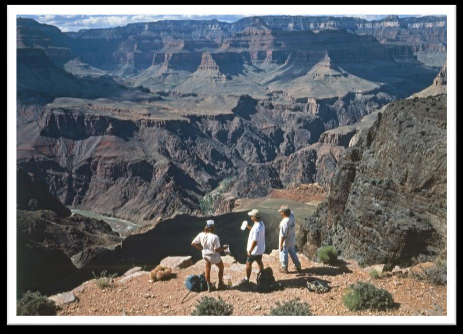 Nearly half have visited Grand Canyon National Park.
