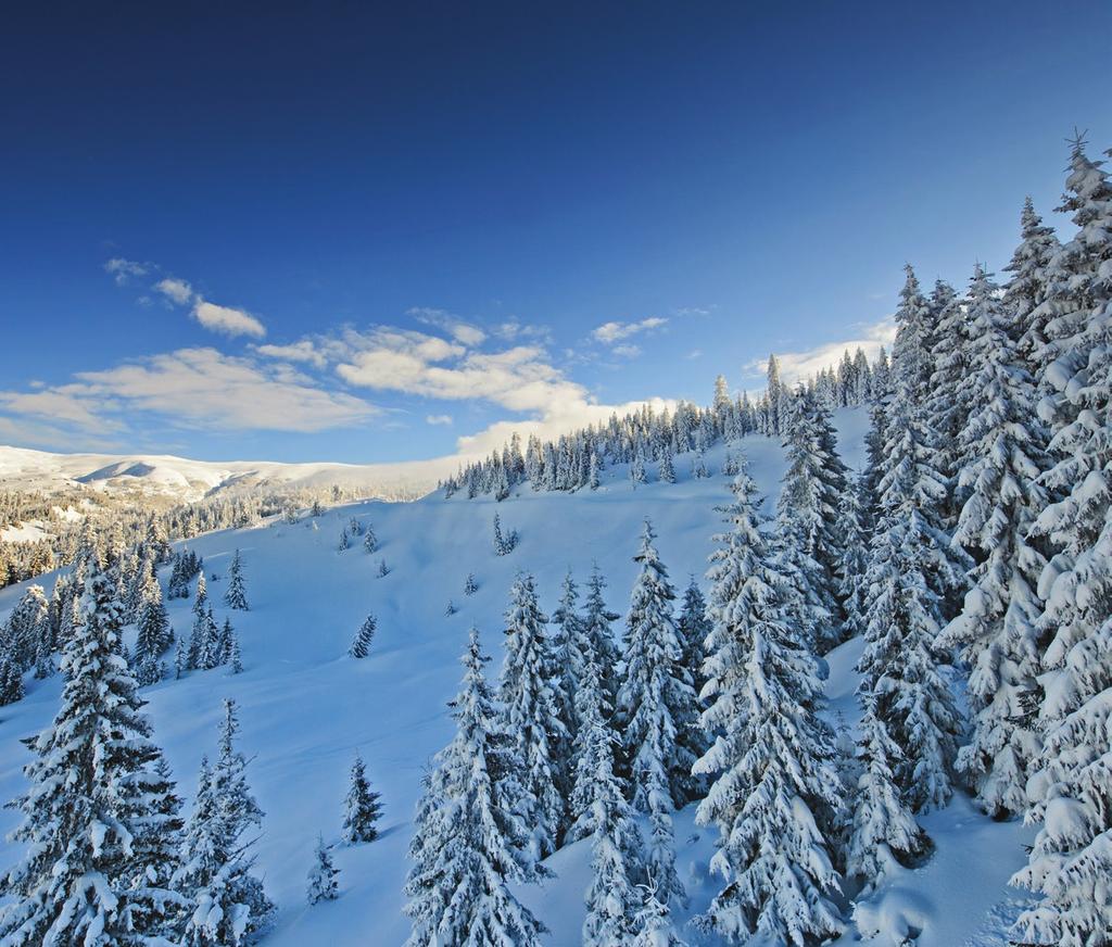 WINTER SPRING The opportunities for developing Goderdzi Pass as a ski resort have been designed by a team of international consultants.
