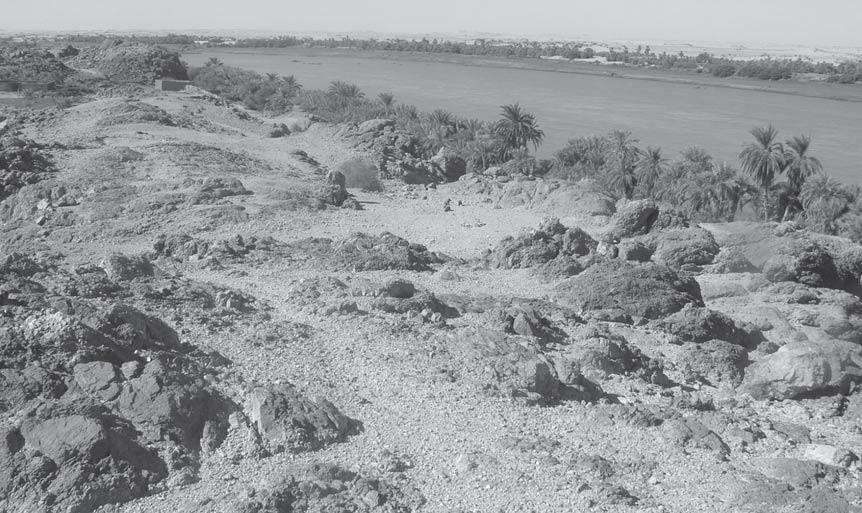 Marek Chłodnicki Fig. 5 Es-Sadda. View of the site no. 28 UmmSueifa 3 was a satellite site to Jebel Umm Sueifa 2 (Chłodnicki & Żurawski 2005: 372-383).