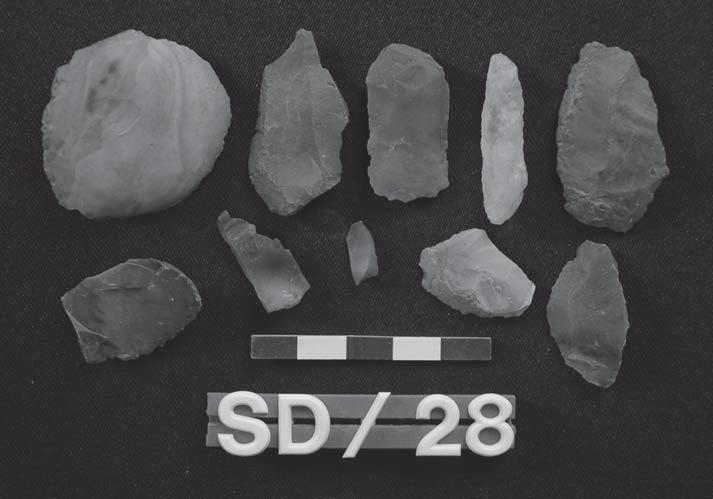 The Neolithic of the Fourth Cataract Fig. 7 Flints from the Es-Sadda 28 site assemblage supplemented with a stone axe, flint flakes, but also crescents and a micro burin (fig.