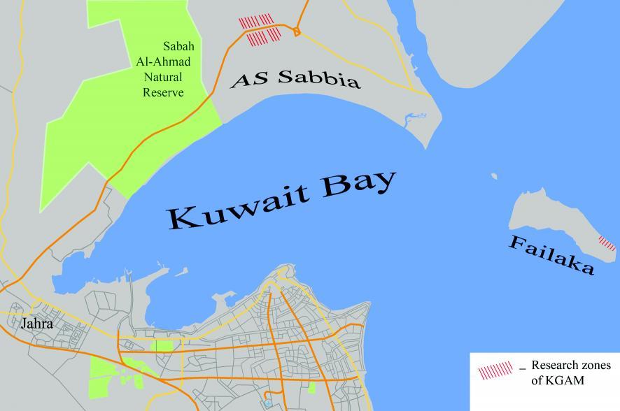 178 Zurab Makharadze, Guram Kvirkvelia, Bidzina Murvanidze,... Fig. 1. Map of the Kuwait Bay and research zones of KGAM.
