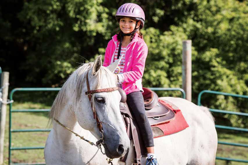 HORSE CAMPS Day Camp Spring Lake riding program is progressively structured to provide campers with a fun experience. Camp Spring Lake is excited to partner with YMCA Camp St.