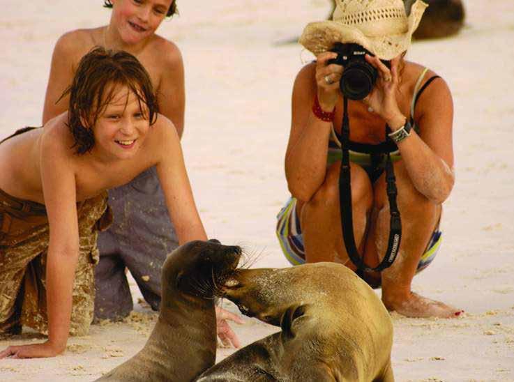 Children and sea lions Create lasting memories for your family this summer in the highlands of Ecuador and the Galápagos Islands!