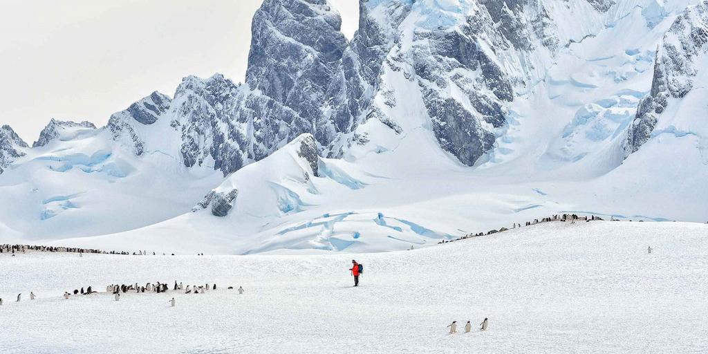White Christmas in Antarctica Buenos Aires - Falkland Islands - Antarctica- Buenos Aires Celebrate a traditional Norwegian