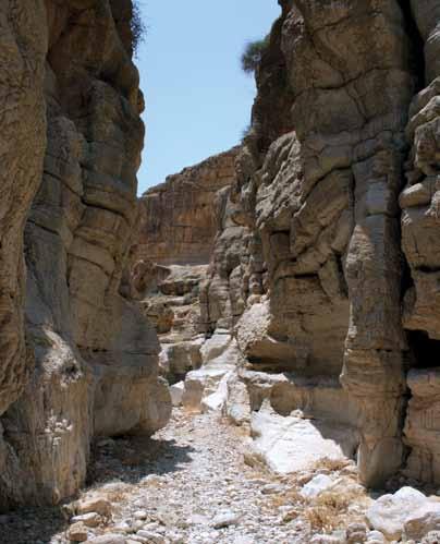Suggested route: Begin at Ein Fawwar, off the road from Ramallah to Jericho, and travel on through the wadi to Jericho. Please note that this will take all day.