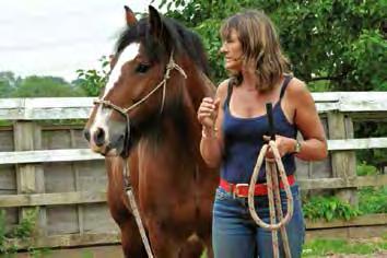 Melanie Watson of Skidby Livery Stables with the latest of her monthly articles www.instinctivehorsetraining.co.