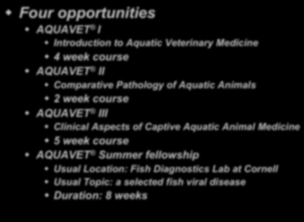 Comparative Pathology of Aquatic Animals! 2 week course! AQUAVET III!
