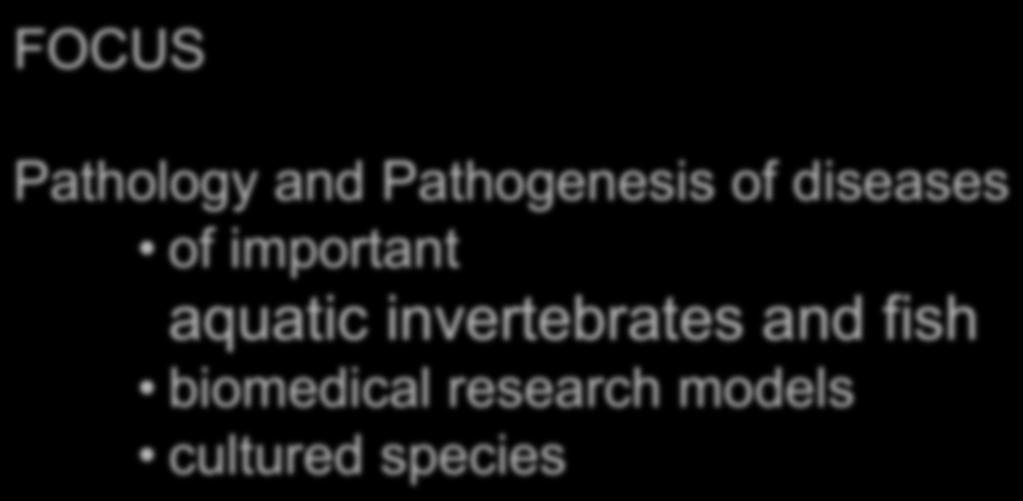 AQUAVET II Comparative Pathology of Aquatic Animals FOCUS Pathology and Pathogenesis of