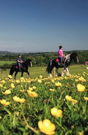 CONNECTING WITH NATURE IRISH WALKING TOUR 1 DAY ADVENTURE With White Horse Hotel & Landscape & Countryside Tours This experience includes an overnight stay in the in the White Horse