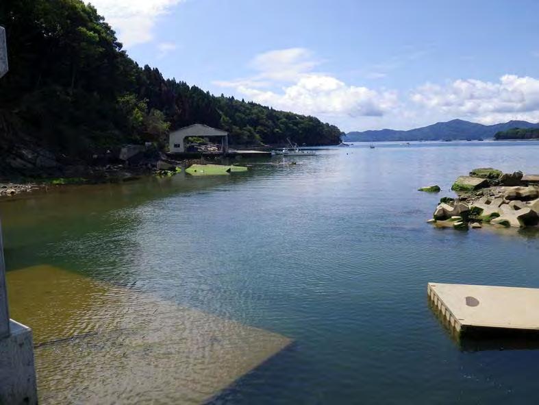 (Shizugawa Bay)
