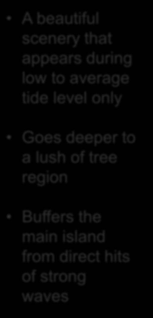 tree region Buffers the