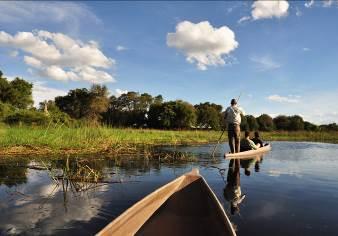 Other activities available include serene mokoro canoe excursions (subject to water levels), exclusive bush dinners, and game drives in customised, open 4 x 4 vehicles - including the rare