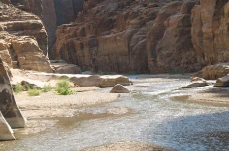 Adventure Mujib Nature Reserve is one of nine nature reserves in Jordan and one of the largest with altitudes ranging from 900m to 400m at the Dead Sea edge a beautiful canyon with the Mujib River