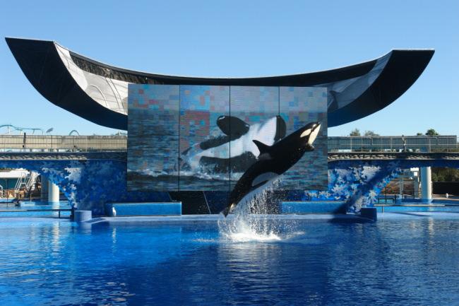 SeaWorld Parks & Entertainment: SeaWorld: SeaWorld's Orlando Florida theme park offers roller coasters, rides, shows, tours, attractions & familyfriendly activities for thrill seekers and animal