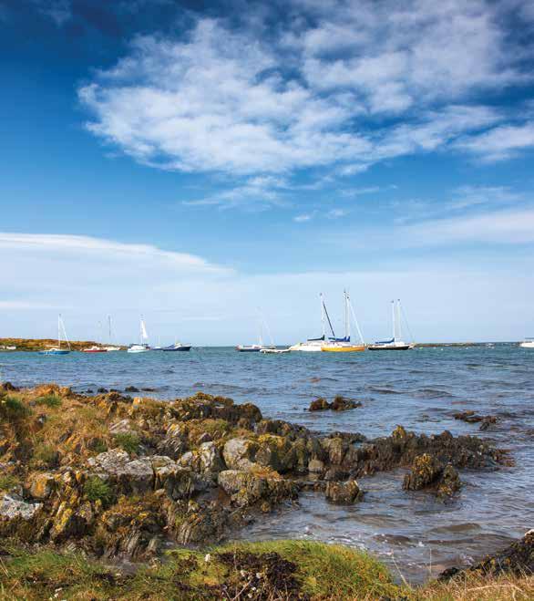 EXPERIENCES AND EVENTS AUTUMN/WINTER 2018 Water s edge encounters Whether you enjoy a stroll along the beach, a gentle paddle or fishing on a lake, water s edge encounters are plentiful in Ards and