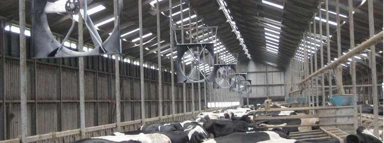 2.7 Sustav ventilacije Pravilnim dimenzioniranjem ventilacijskog sustava reducirat ćemo plinove i prašinu na farmi, regulirat ćemo stupanj vlažnosti zraka te pozitivno utjecati na zdravlje krava.
