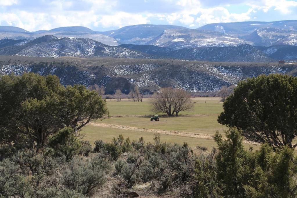 Eagle Valley Land Trust (EVLT) is joining with other significant entities and citizens to help preserve a key piece of land by orchestrating acquisition of the Hardscrabble Ranch in the Brush Creek